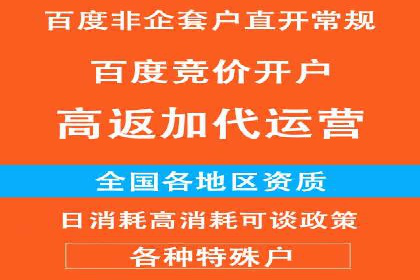 行业领先企业的SEM优化之路